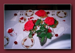 Kliknite za pove�avo slike